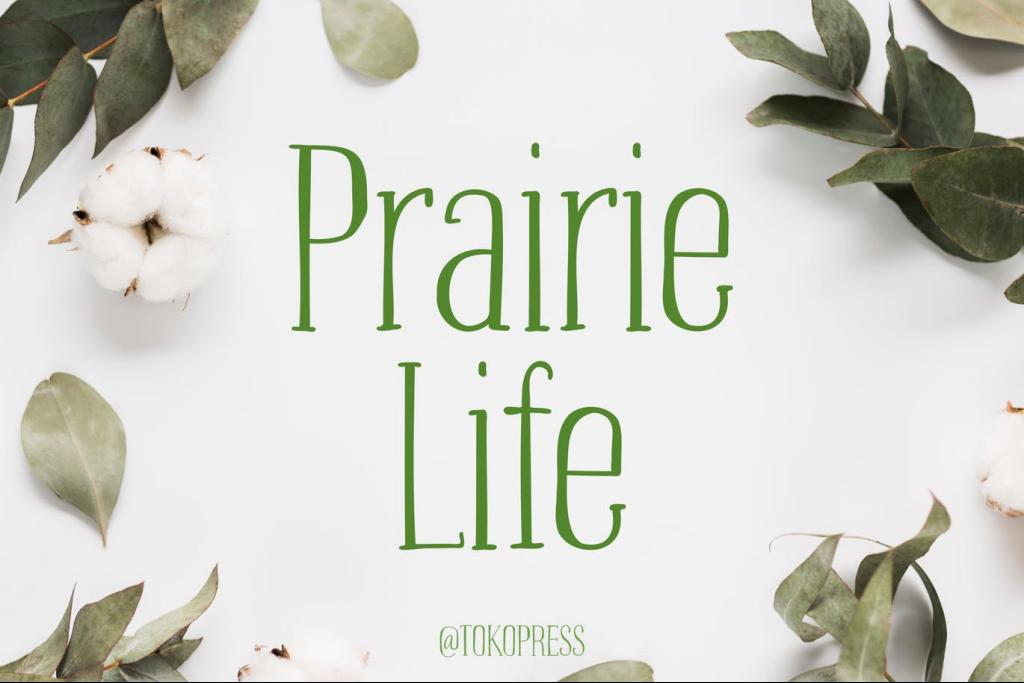 Prairie-Life illustration 4