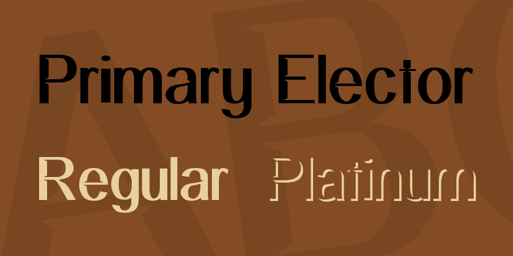 Primary Elector illustration 1