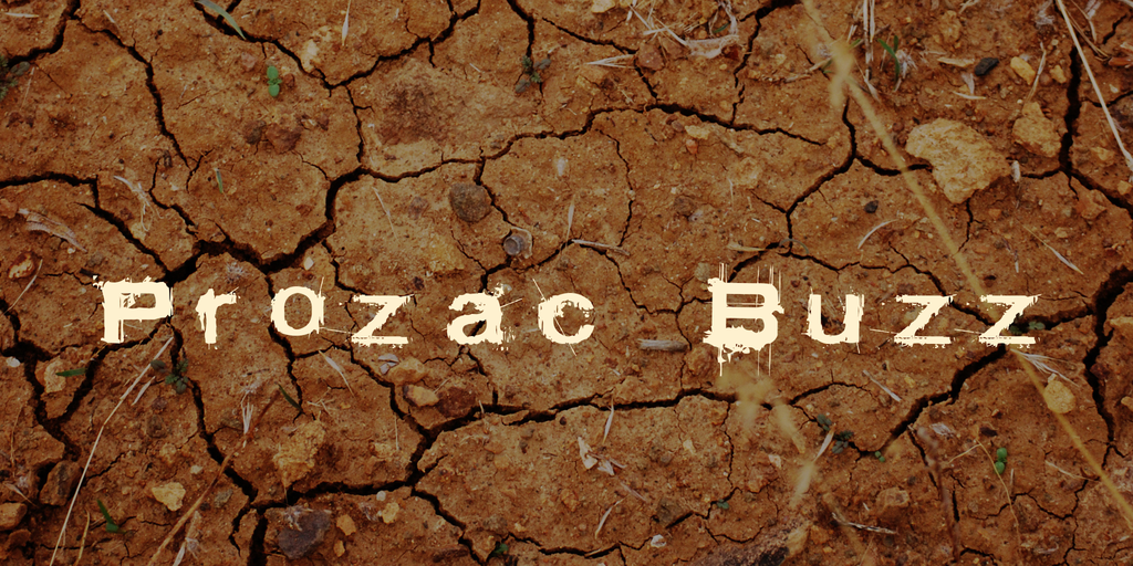Prozac Buzz illustration 3