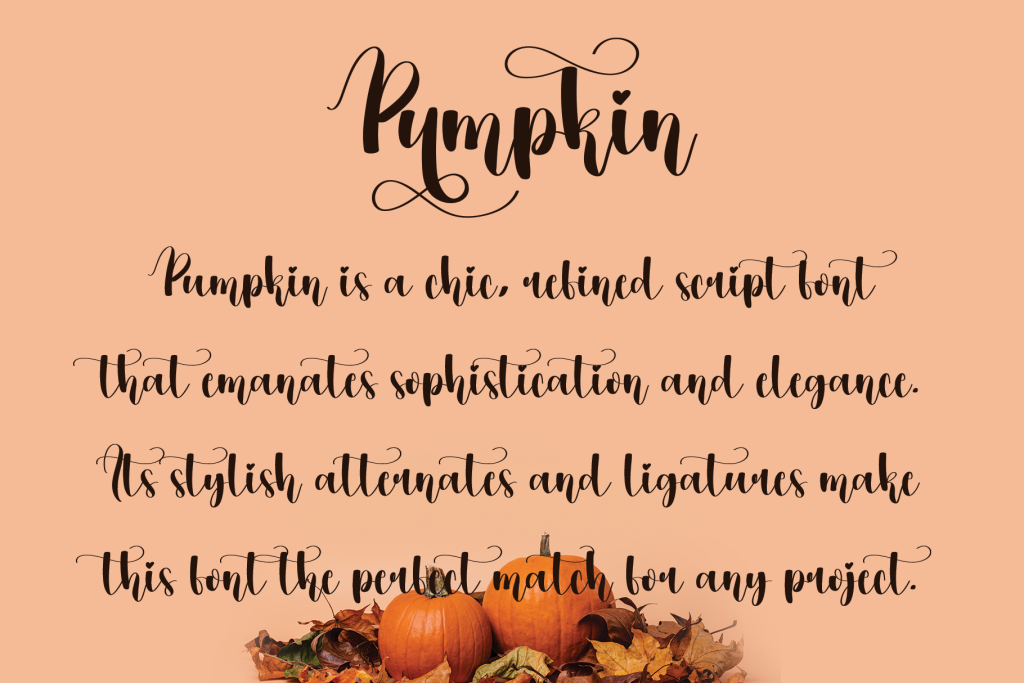 Pumpkin illustration 4