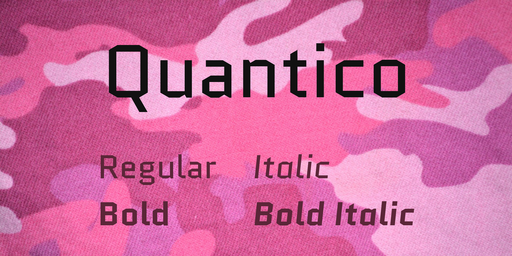 Quantico illustration 1