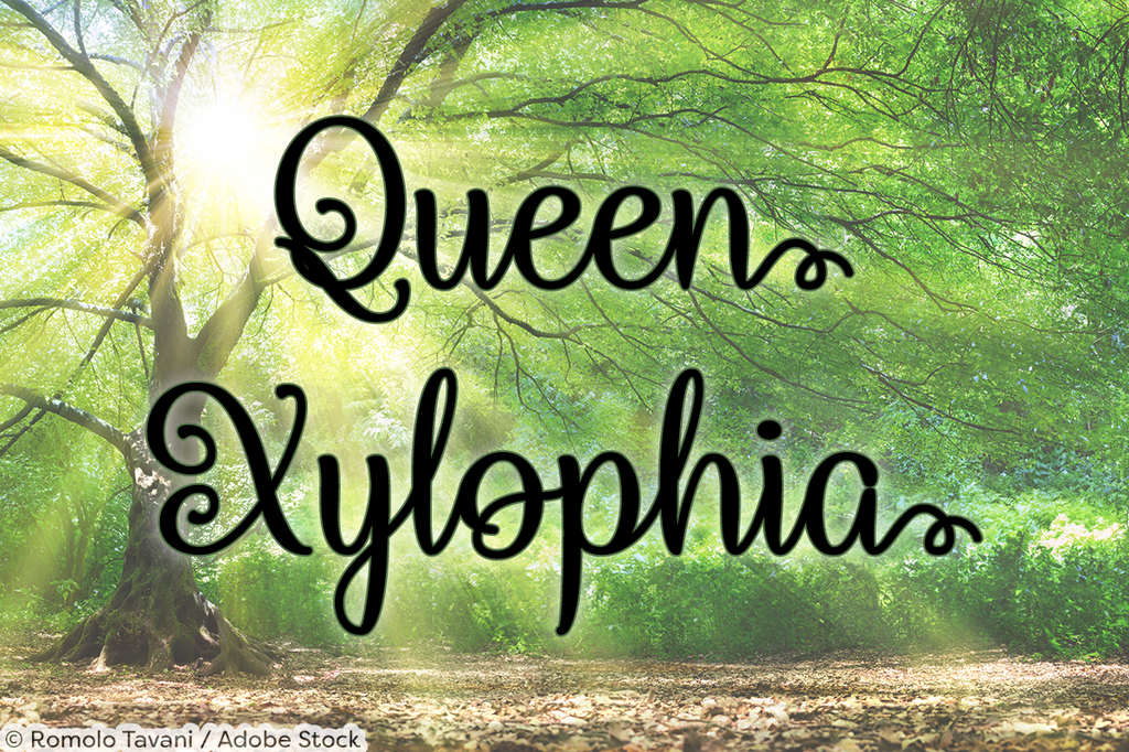Queen Xylophia illustration 6