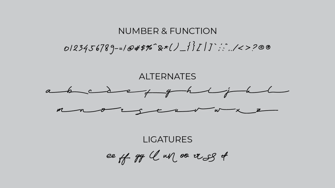 Quinnville Font · 1001 Fonts