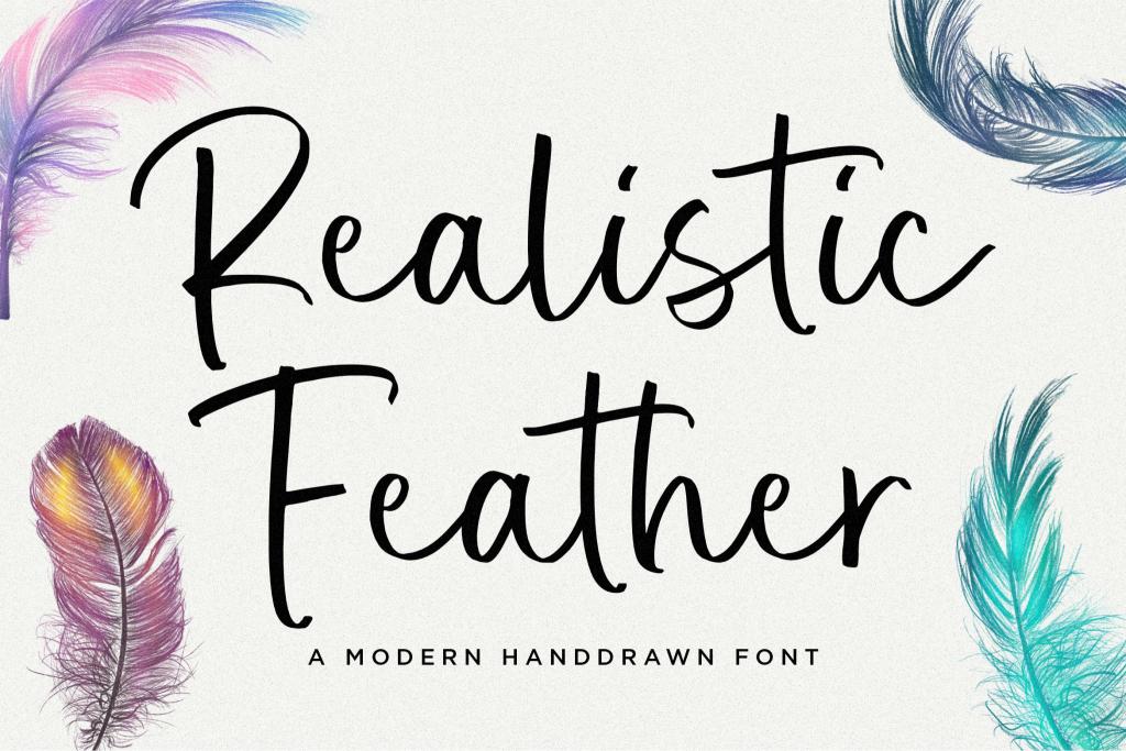 Realistic Feather illustration 4