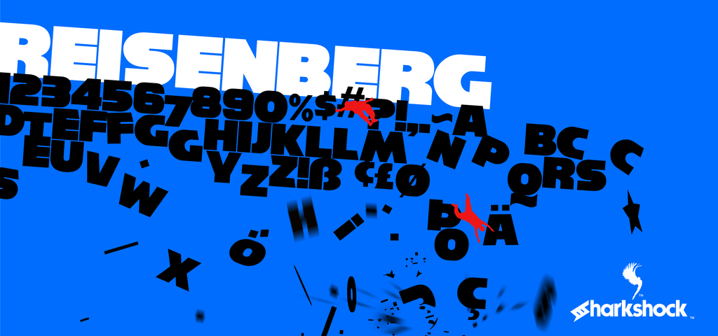 Reisenberg illustration 1
