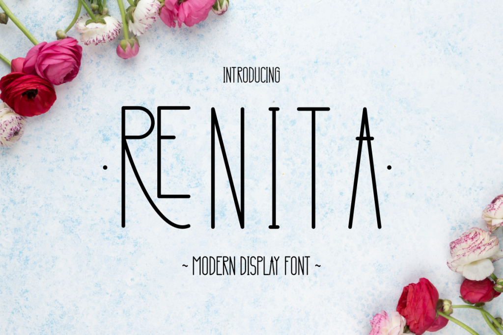 RENITA illustration 9