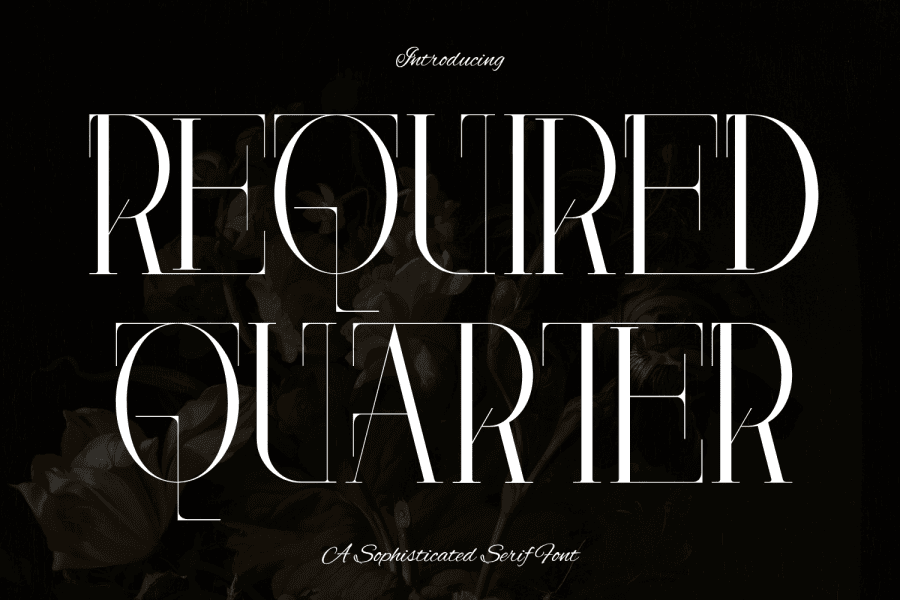 REQUIRED QUARTER DEMO Font · 1001 Fonts