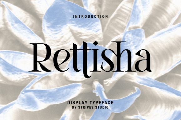 Rettisha illustration 12