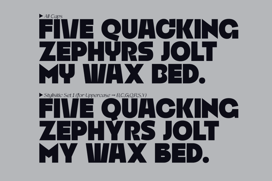 Revain Font 1001 Fonts