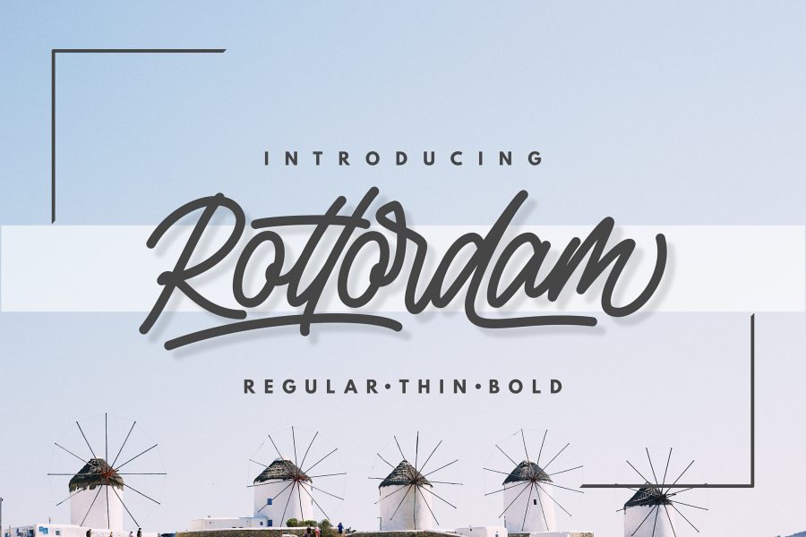 Rottordam illustration 16