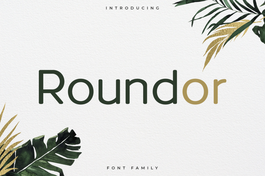 Round One Typography RoundorNonCommercial Font · 1001 Fonts