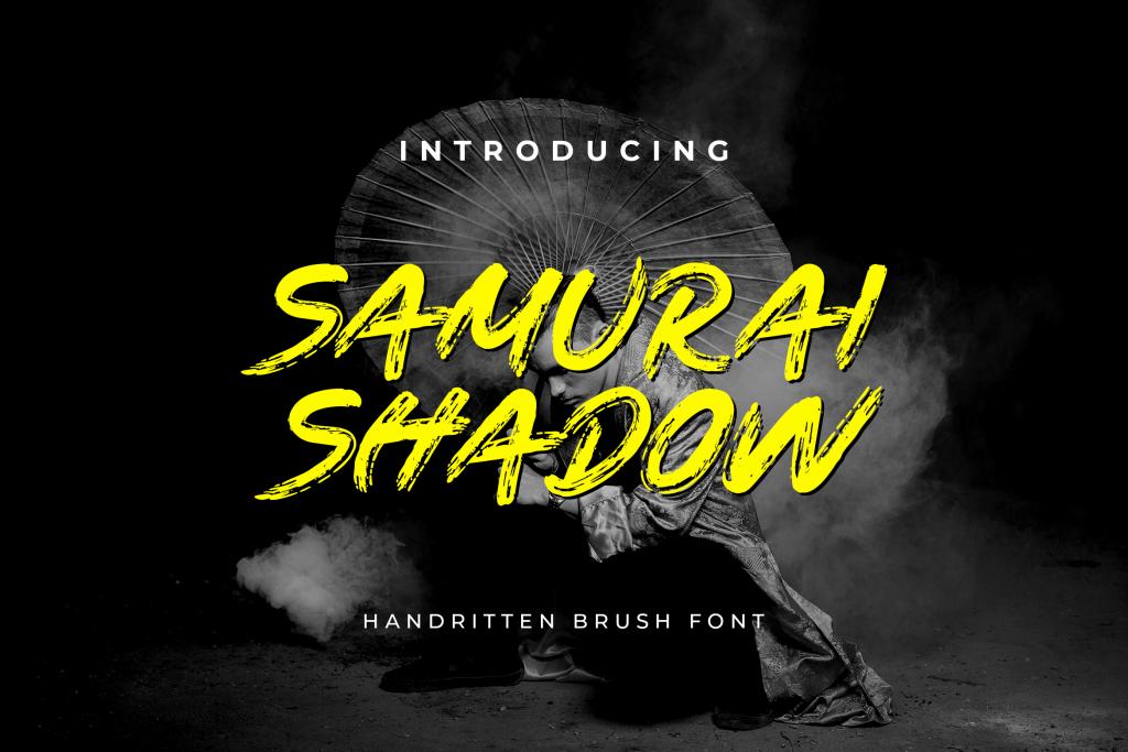 Samurai Shadow illustration 2