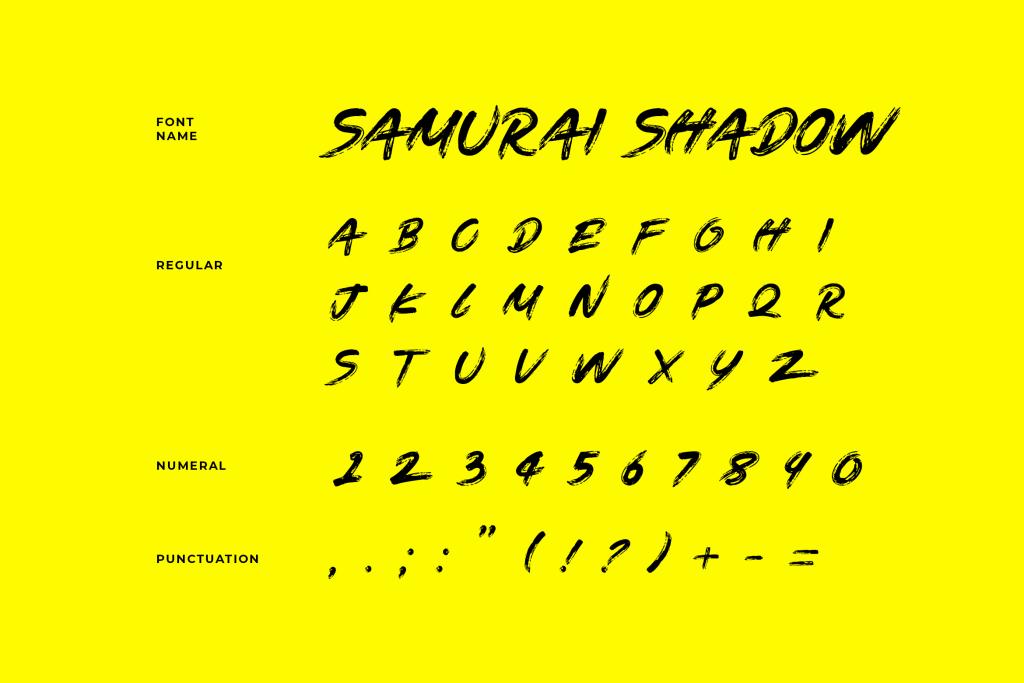 Samurai Shadow illustration 5