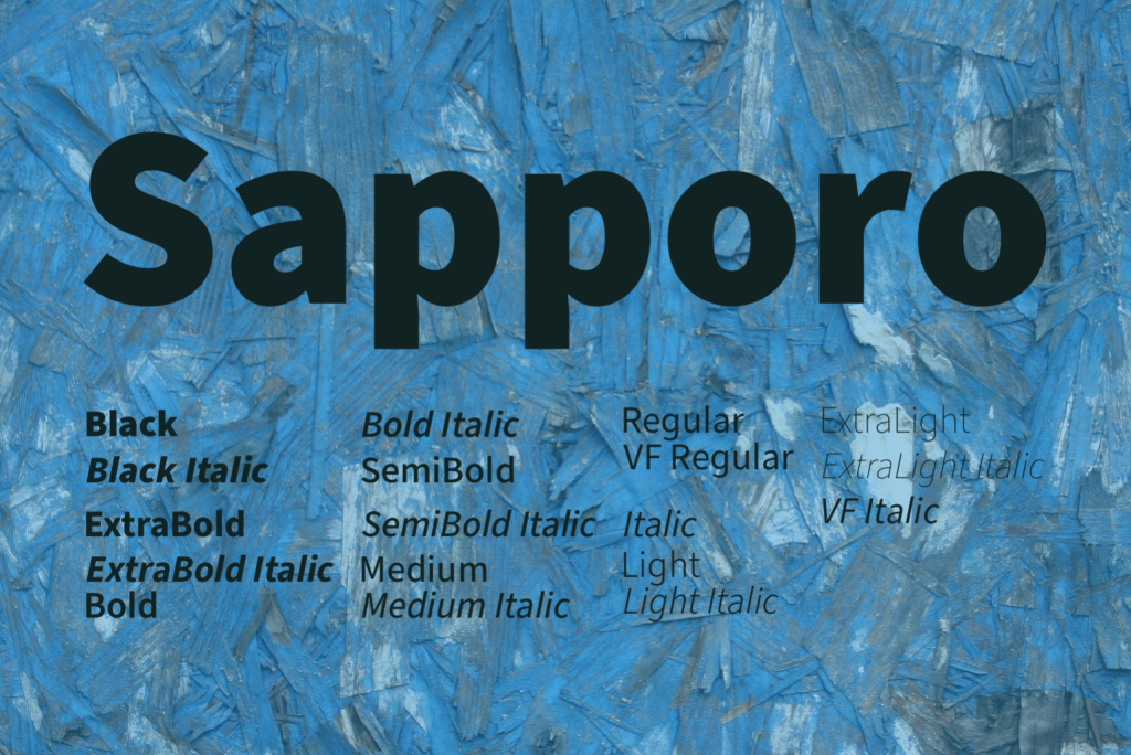Sapporo illustration 46