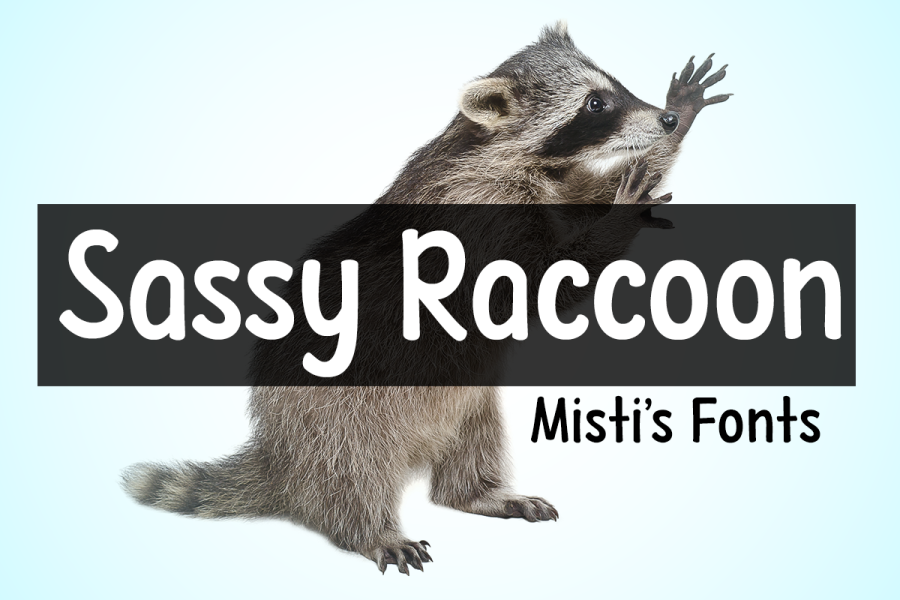 Sassy Raccoon illustration 3