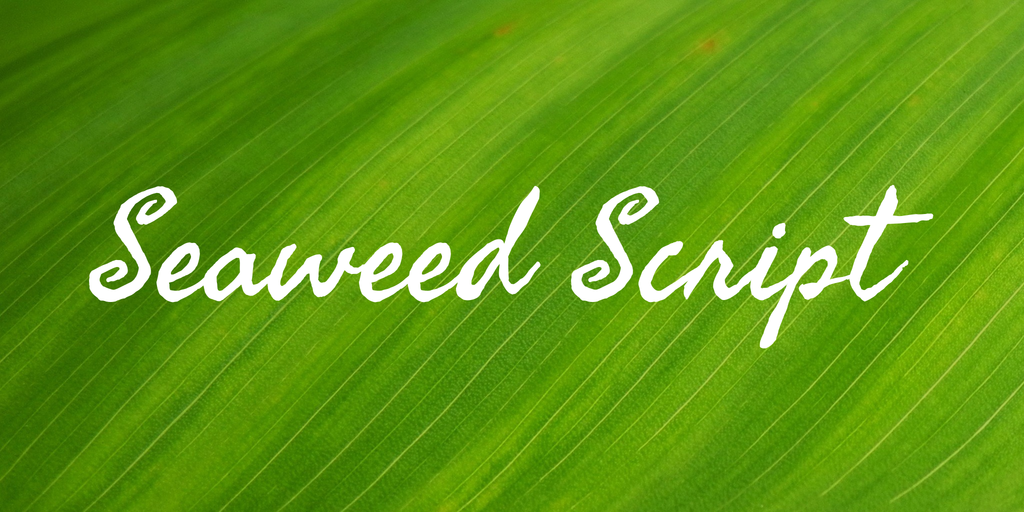 Seaweed Script illustration 1
