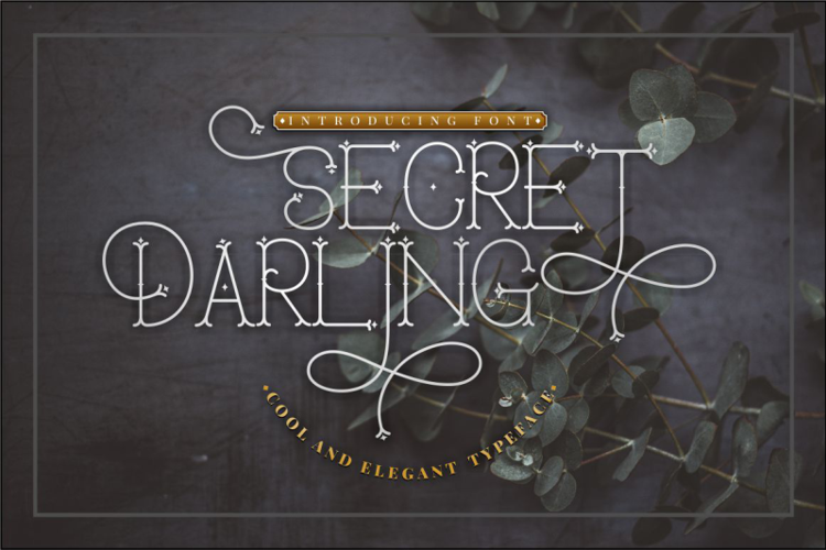 Secret Darling illustration 2