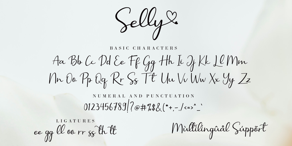 Selly Calligraphy illustration 12