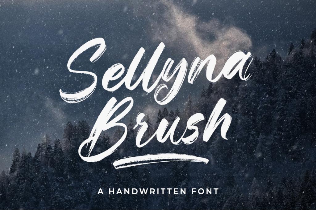 Sellyna Brush illustration 2