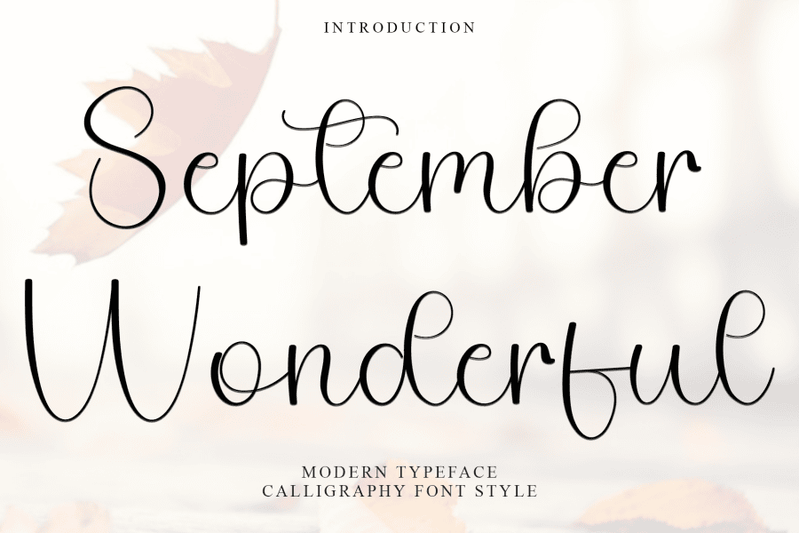 September Wonderful Font · 1001 Fonts