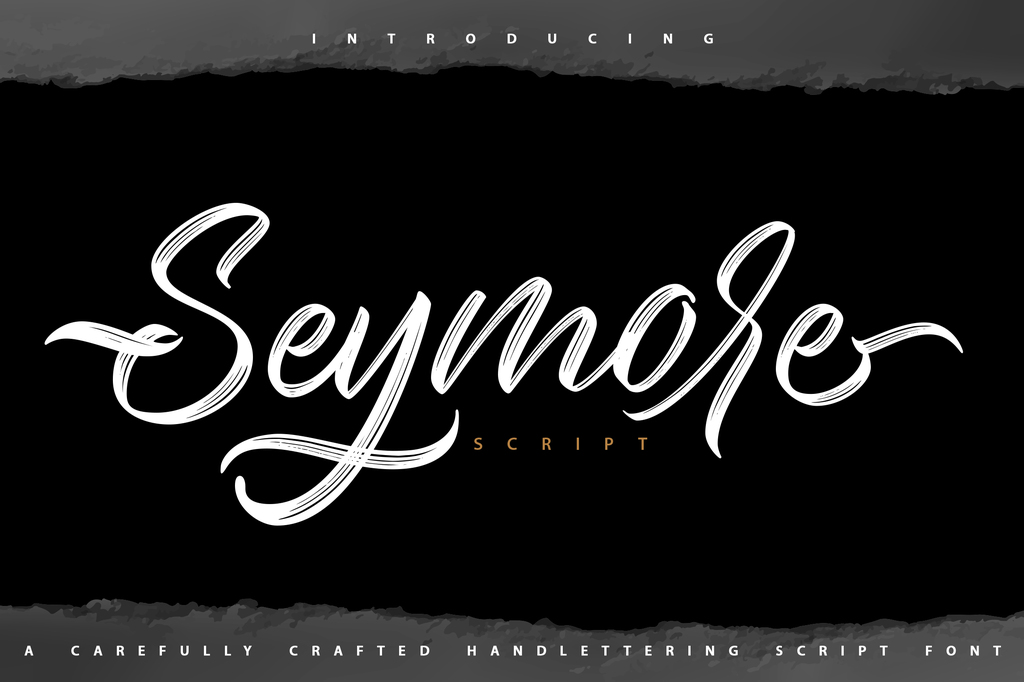 Seymore Script illustration 13