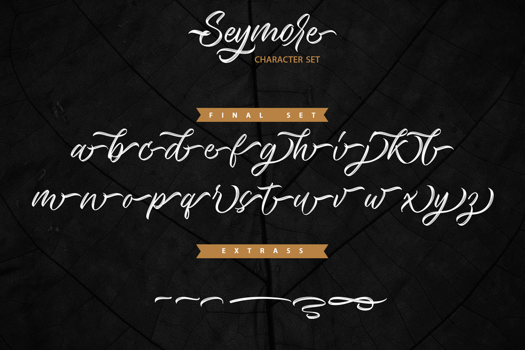 Seymore Script illustration 3