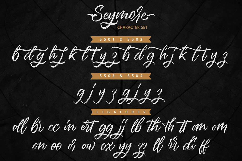 Seymore Script illustration 4