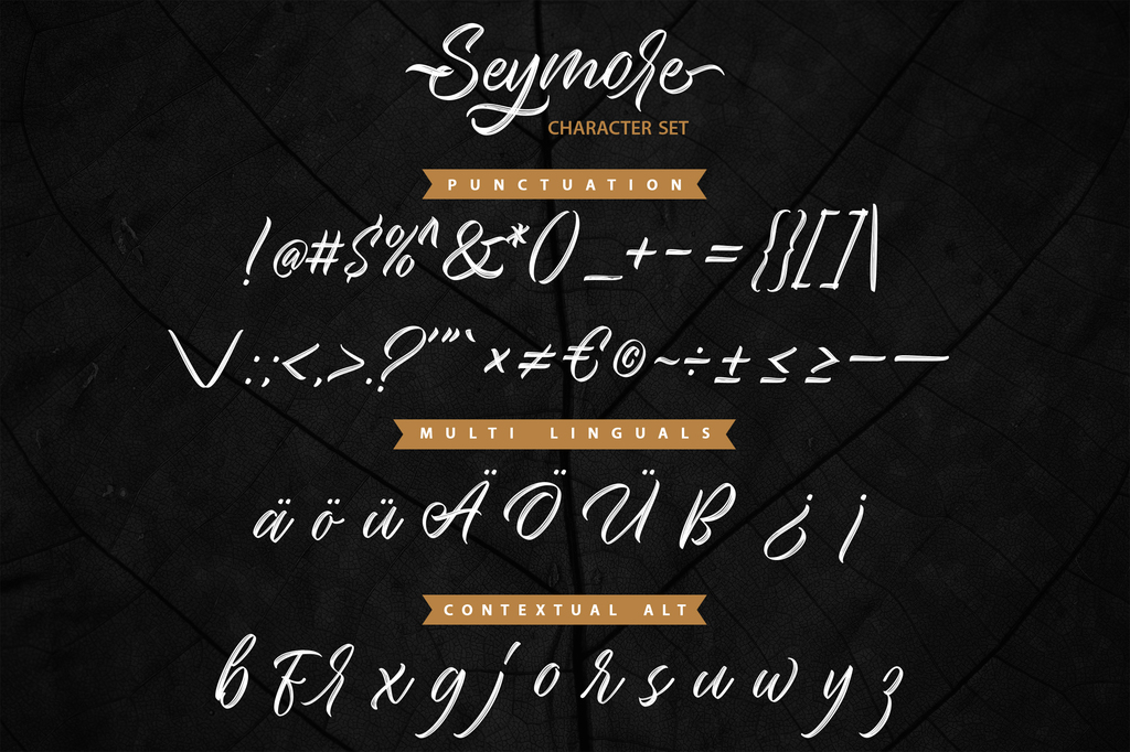 Seymore Script illustration 5