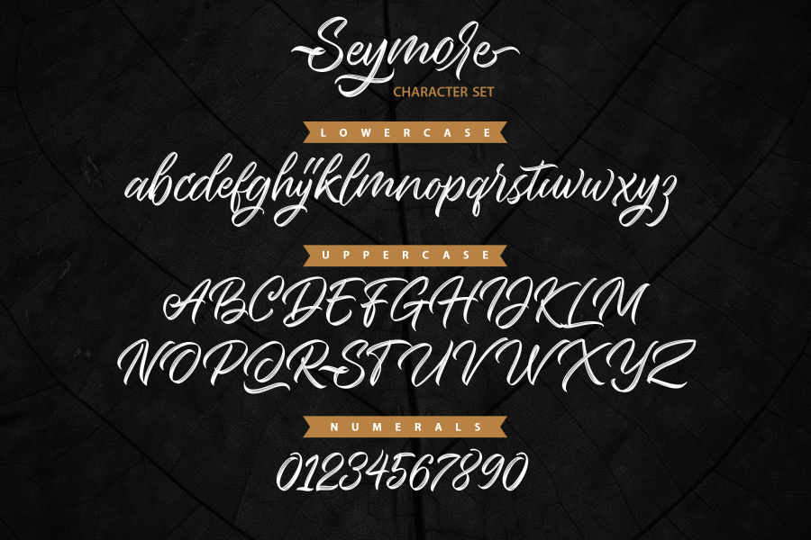 Seymore Script illustration 6
