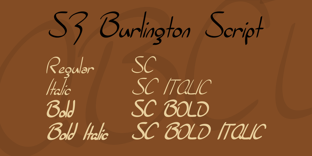 SF Burlington Script illustration 2