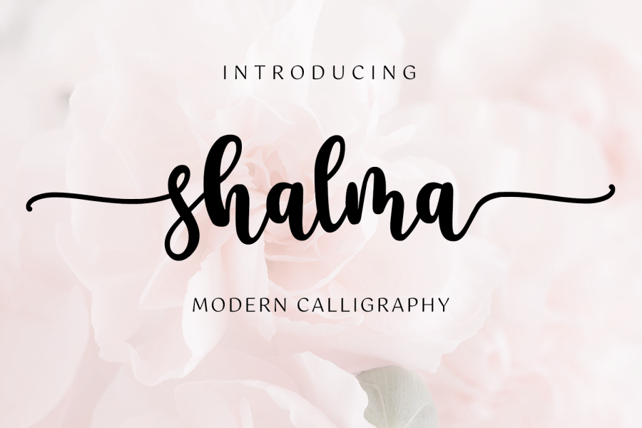 shalma illustration 14