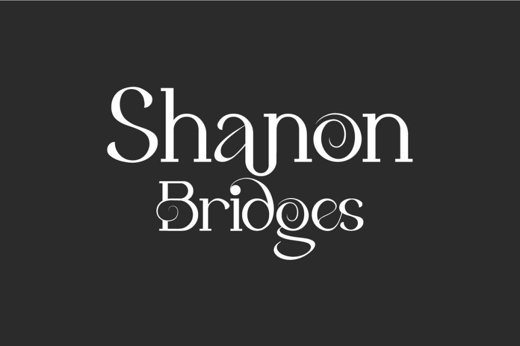 Shanon Bridges Demo illustration 2