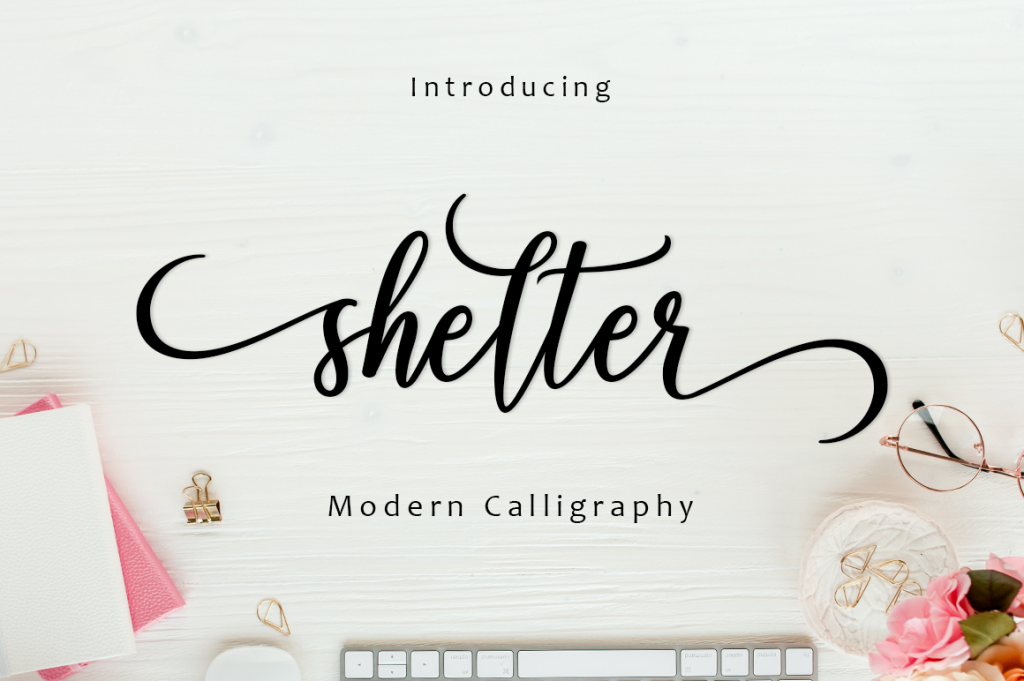 shelter illustration 4