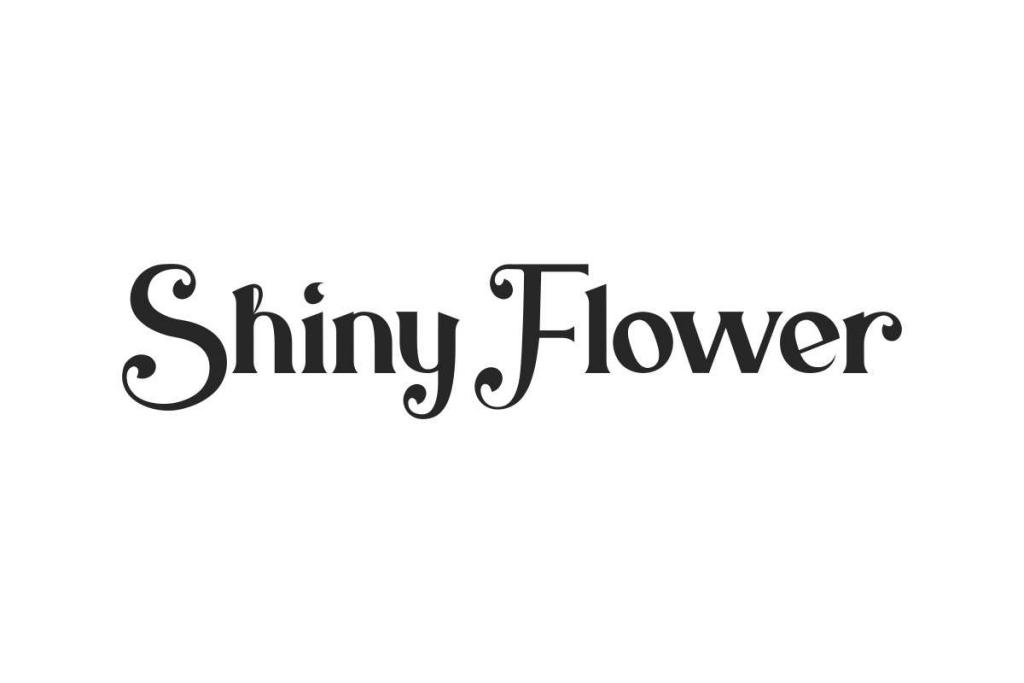 Shiny Flower Demo illustration 2