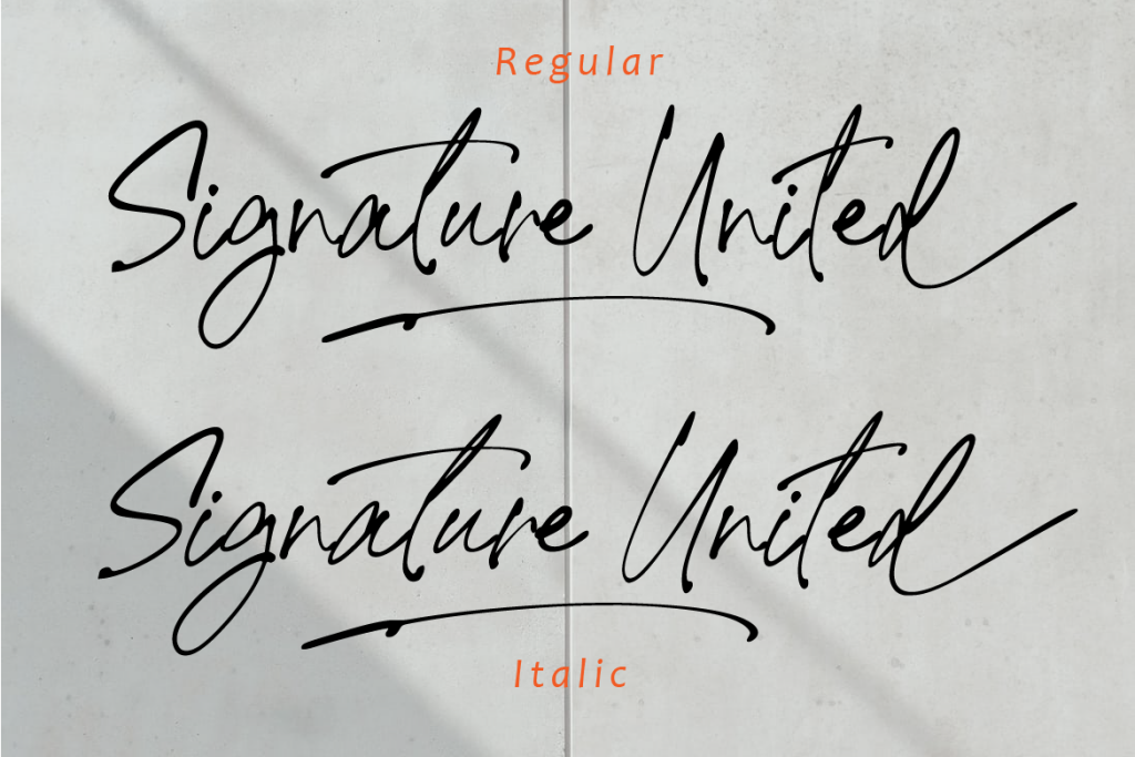Signature United illustration 5