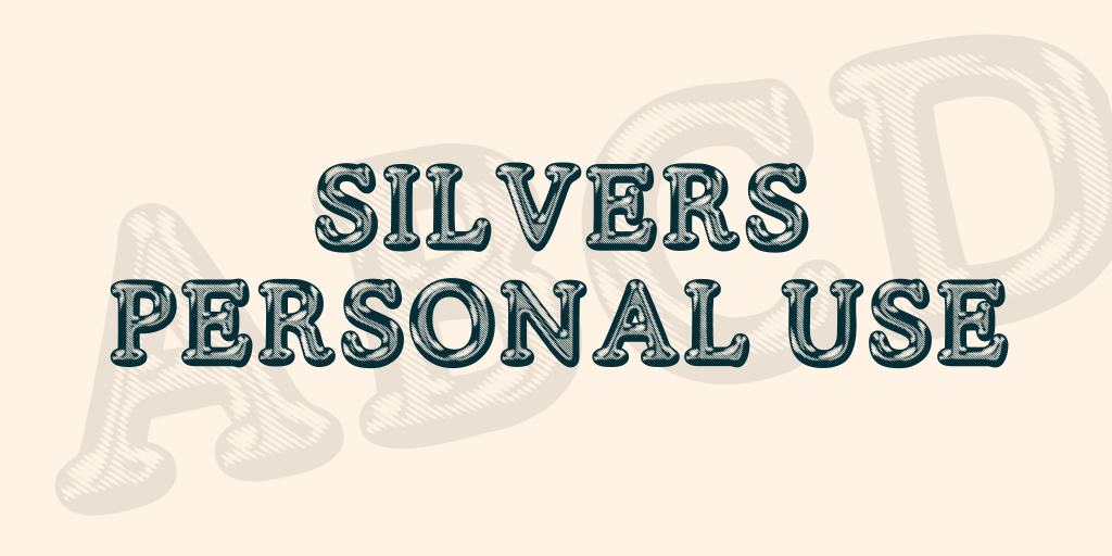 SILVERS PERSONAL USE illustration 4