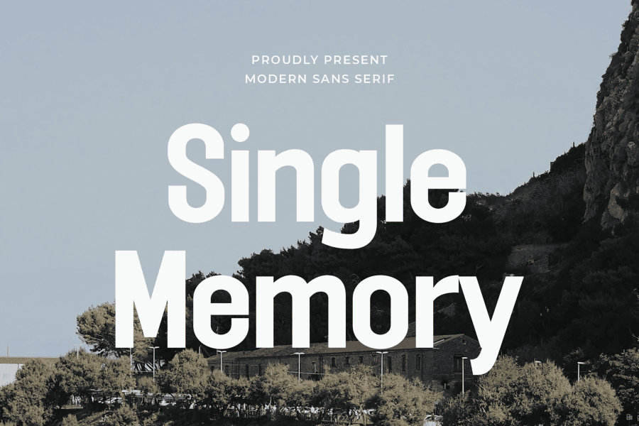 Single Memory Font · 1001 Fonts