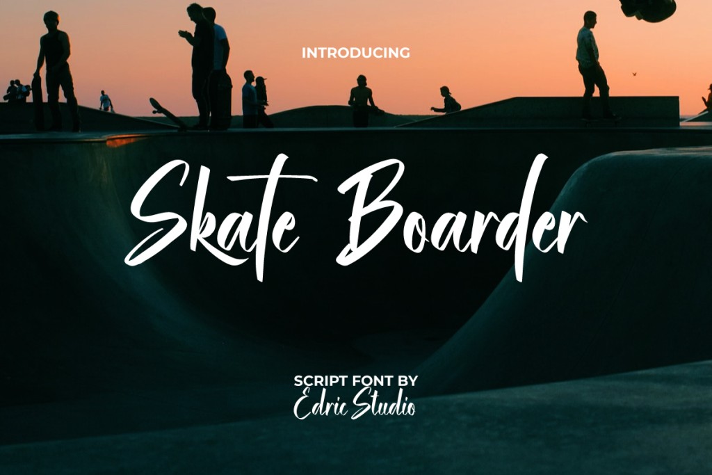 Skate Boarder Demo illustration 2