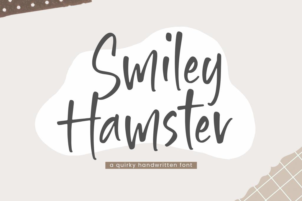 Smiley Hamster illustration 2