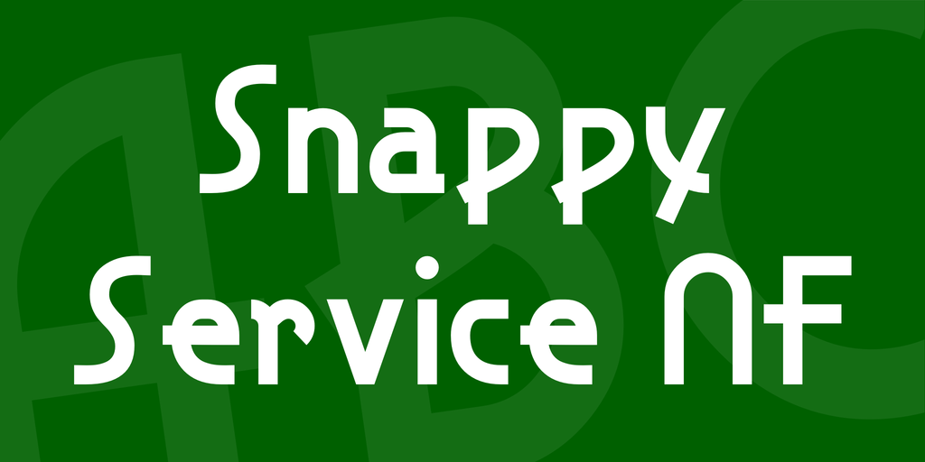 Snappy Service NF illustration 1