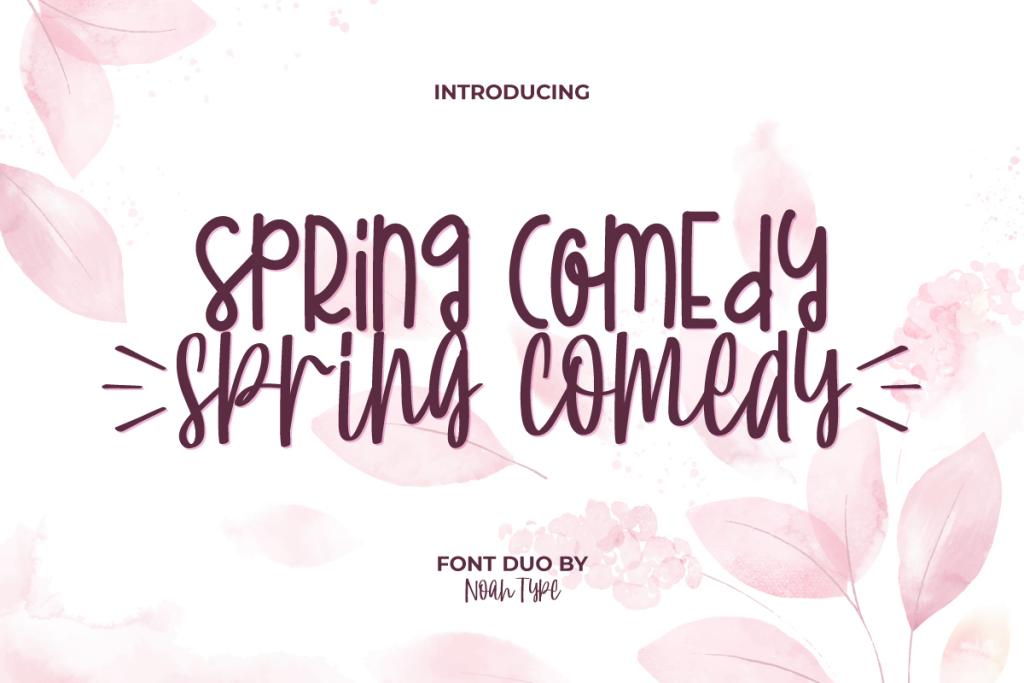 Spring Comedy Demo illustration 2