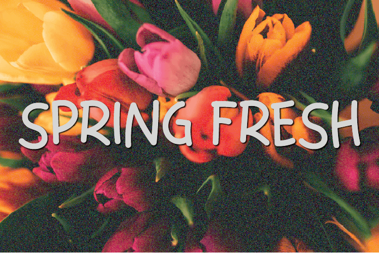 Spring Fresh illustration 2