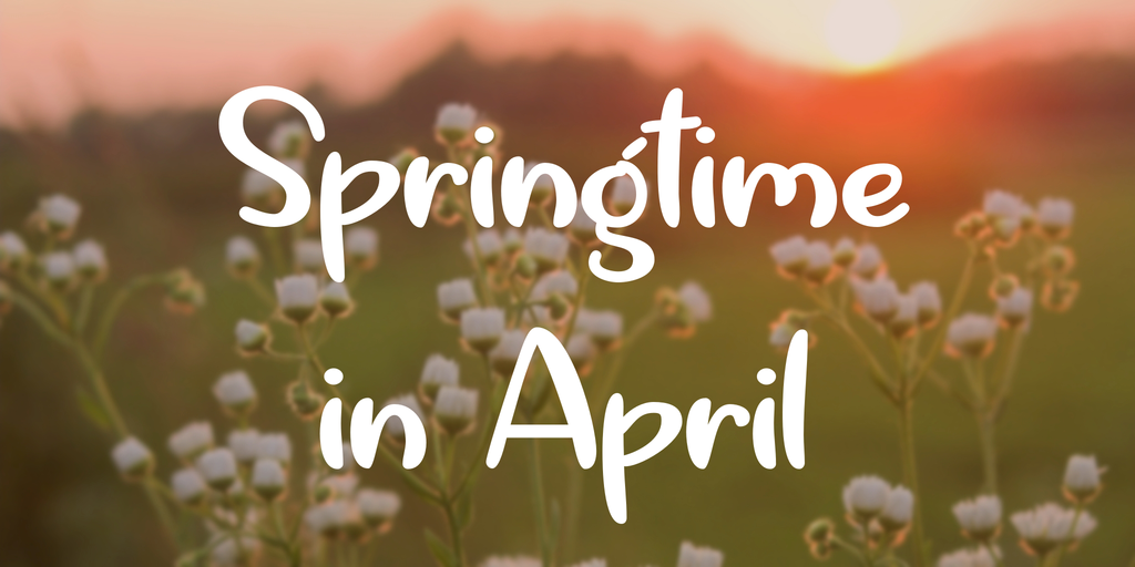 Springtime in April illustration 3