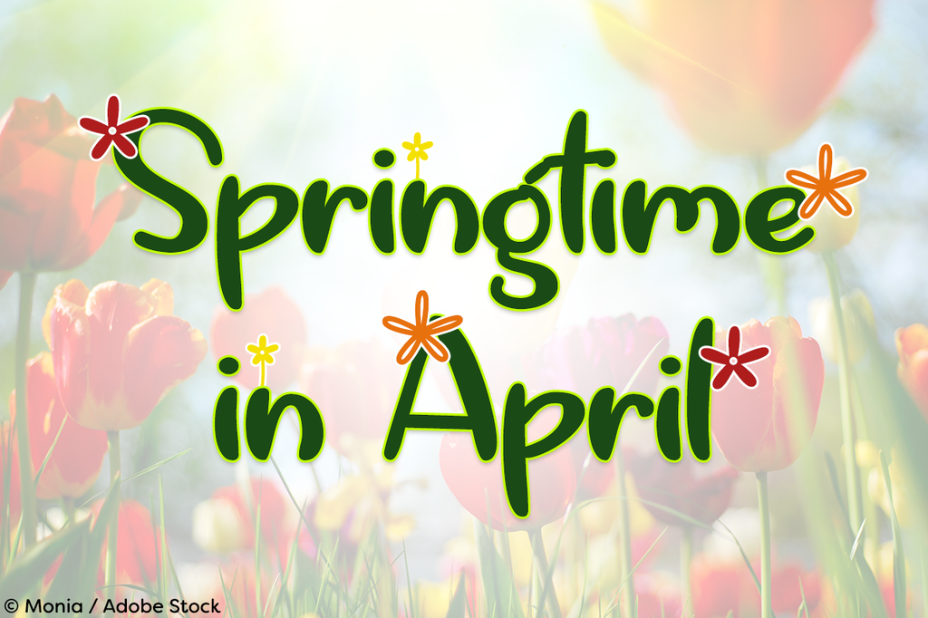 Springtime in April illustration 7