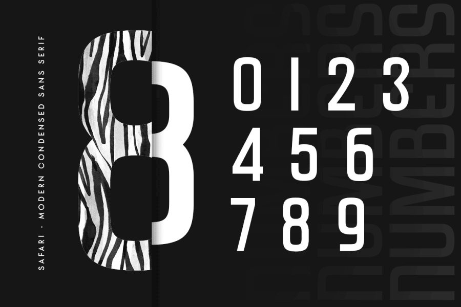 SS Safari Font · 1001 Fonts