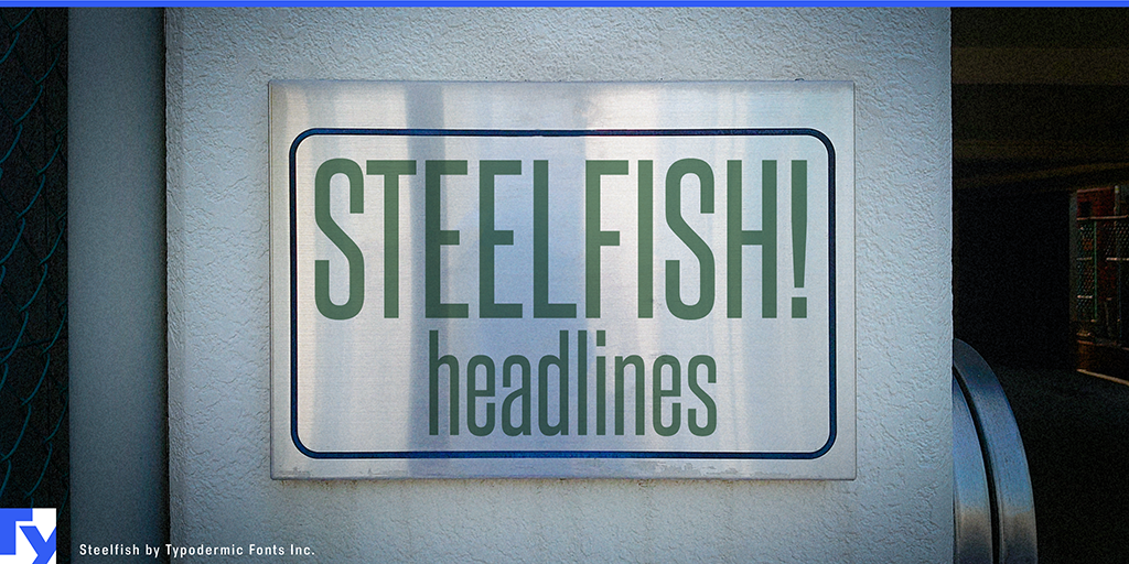 Steelfish illustration 19