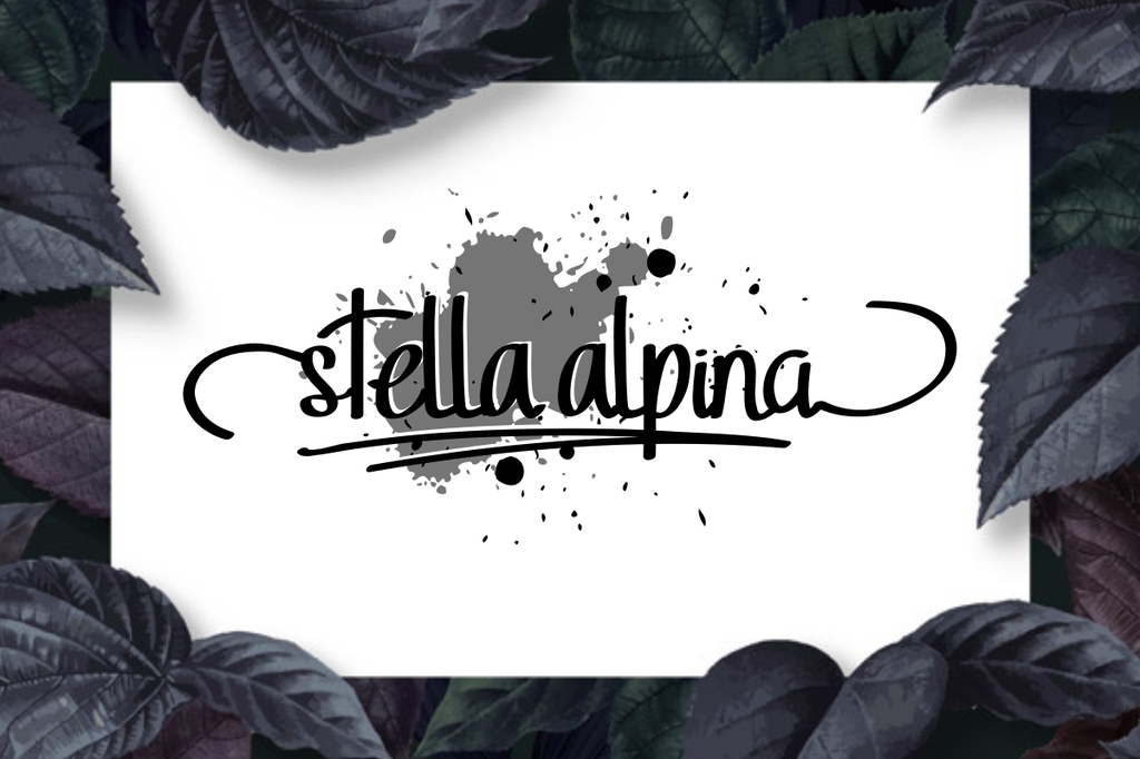 Stella Alpina Demo illustration 2