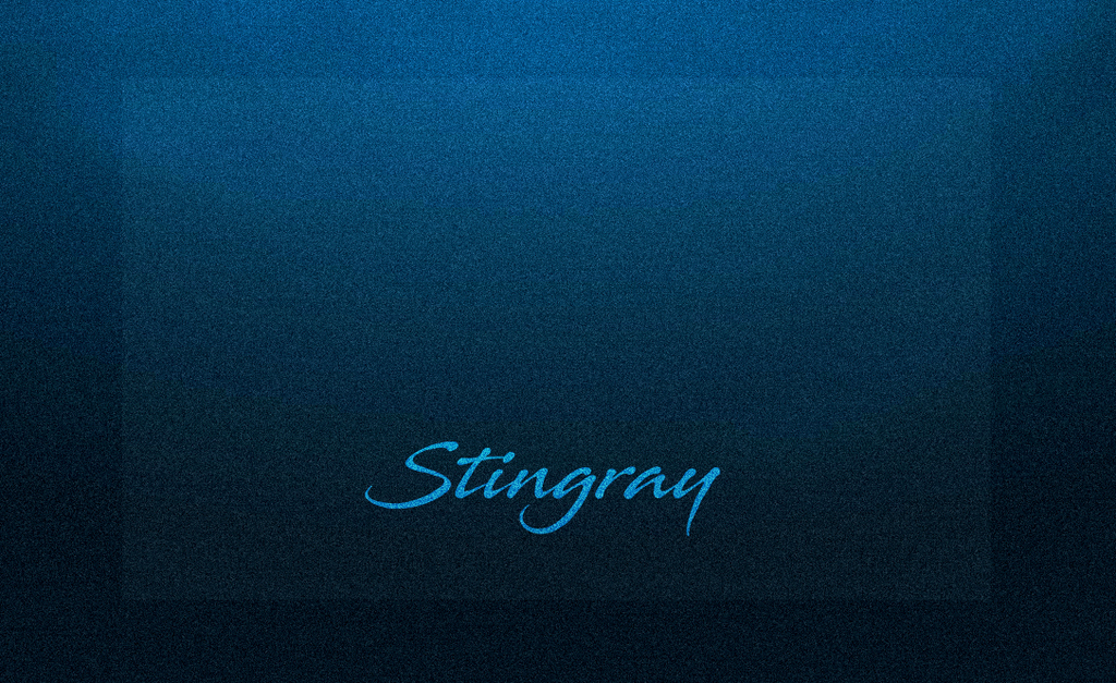 Stingray illustration 19