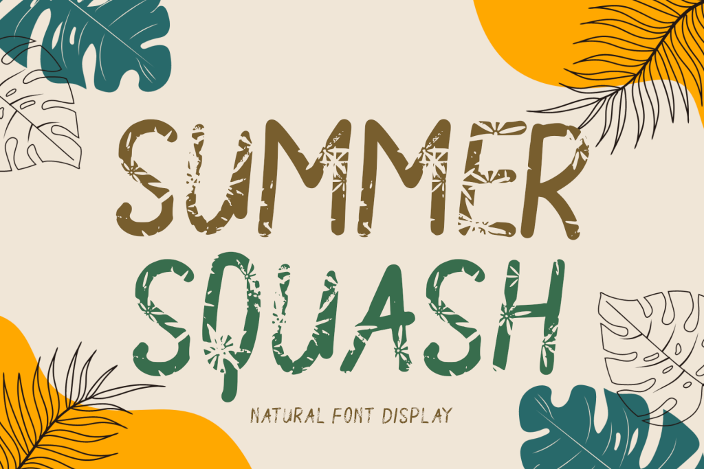 Summer Squash illustration 1