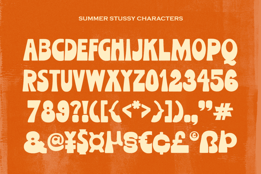 Summer Stussy DEMO Font · 1001 Fonts